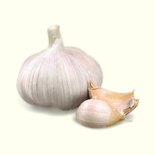 Bawang Putih